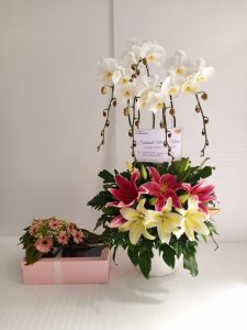 Bunga Meja Bintang Florist Gresik