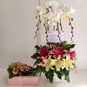 Bunga Meja Bintang Florist Gresik